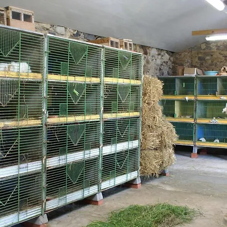 Nyaraló Le Logis Des Chons A La Campagne A Saint Hilaire Du Bois - Lys Layon