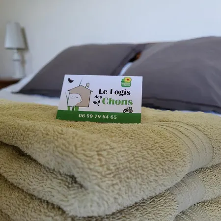 Vakantiehuis Le Logis Des Chons A La Campagne A Saint Hilaire Du Bois - Lys Layon *